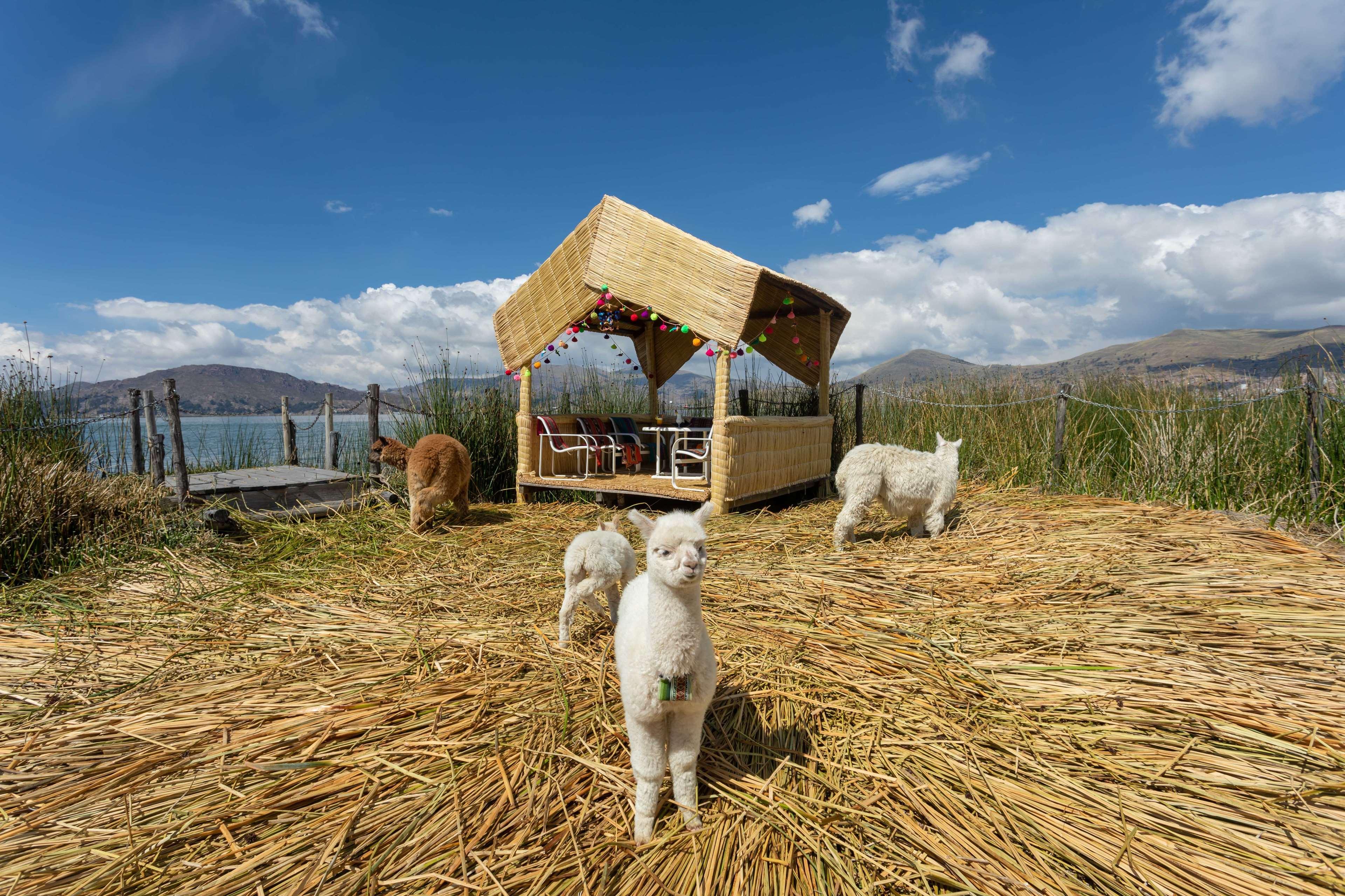 Sonesta Posadas Del Inca Пуно Экстерьер фото